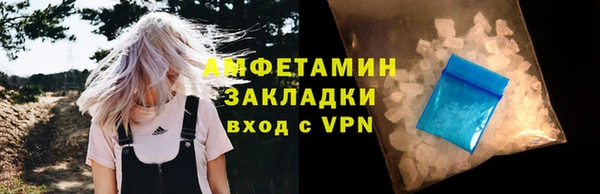 индика Медвежьегорск