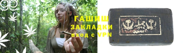 индика Медвежьегорск