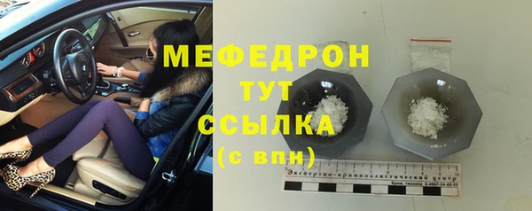 индика Медвежьегорск