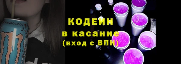 индика Медвежьегорск