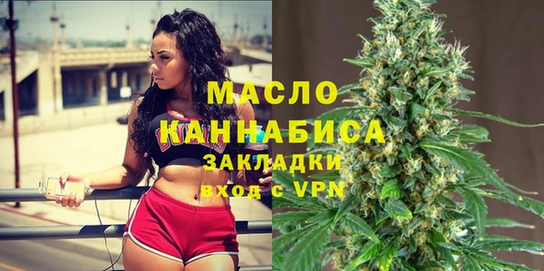 индика Медвежьегорск
