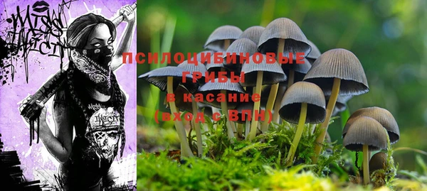 кокаин перу Михайловка