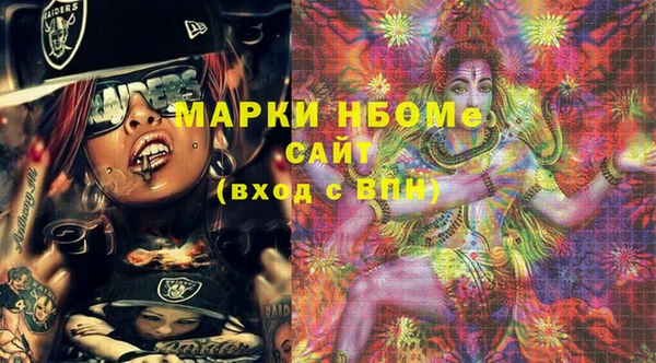 индика Медвежьегорск