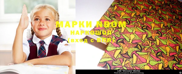 индика Медвежьегорск