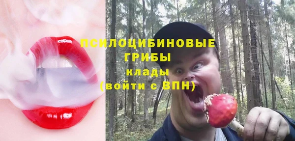 мескалин Мегион