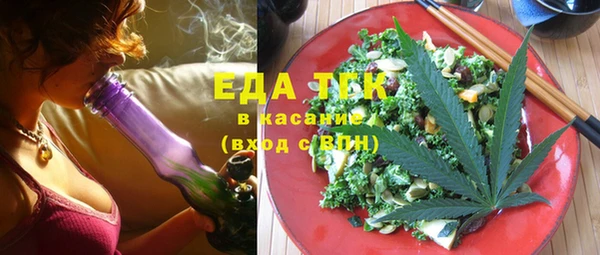 индика Медвежьегорск