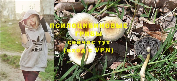 мескалин Мегион