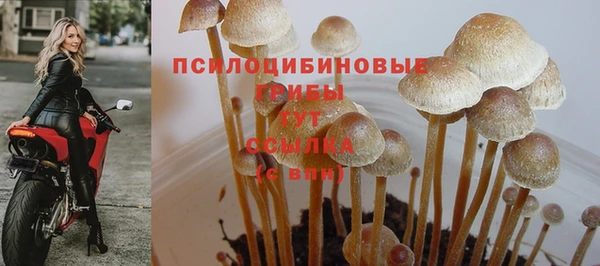 COCAINE Медногорск