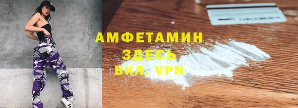индика Медвежьегорск