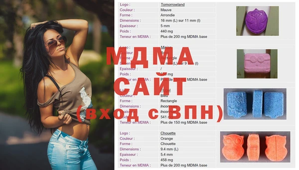 индика Медвежьегорск
