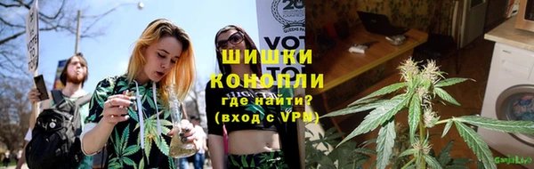 индика Медвежьегорск