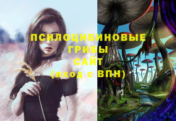 COCAINE Медногорск