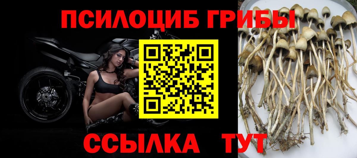 Кузнецк  Галлюциногенные грибы мицелий  Вход с VPN 