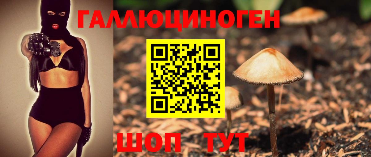 Галлюциногенные грибы мухоморы Кузнецк
