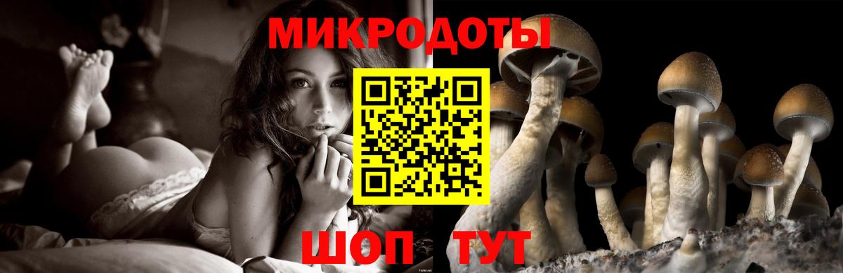 Псилоцибиновые грибы Psilocybe  Псилоцибиновые грибы Psilocybe  Кузнецк 